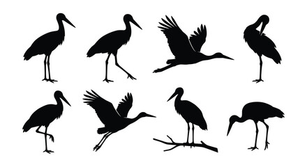 Naklejka premium Collection of stork silhouettes depicting various poses against a white background avian