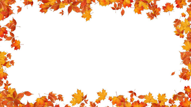 colorful autumn leaves border frame isolated on transparent background,png leaf thanksgiving and Halloween celebration video stream overlay social media design element