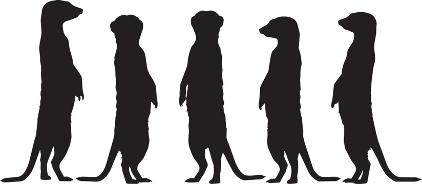Meerkat silhouettes isolated on white background. Vector outline of standing mongoose group. Black animal profile icons. Wildlife graphic design element.