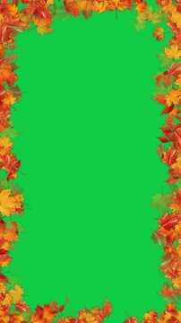 colorful autumn leaves border frame isolated green screen 4k animation,chroma key leaf thanksgiving and Halloween celebration video stream overlay vertical social media motion design element