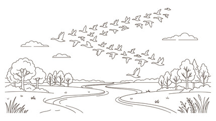 Fototapeta premium Migrating geese flock flying v shape over river nature line drawing.