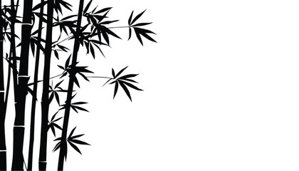 Fototapeta premium Bamboo stalks with detailed leaves form a decorative left border against a plain bright white background space.