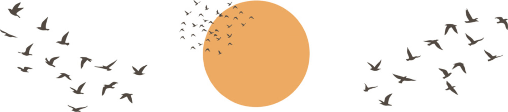 Flock of Flying Birds Silhouette with Sun Circle on White Background Vector Set