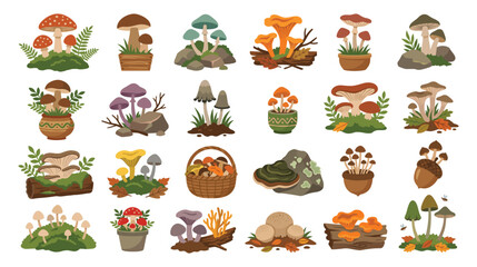 Obraz premium Autumn forest mushroom collection features diverse fungi species.
