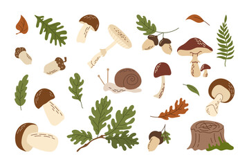 Hand drawn forest set with wild mushrooms, green oak leaves, brown acorns, fern leaf, tree stump, and cute snail. Flat vector illustration isolated on white background.