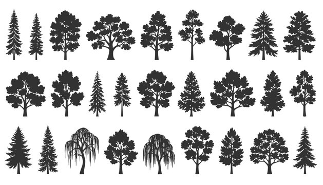 Detailed collection of twenty four different tree silhouettes featuring pine, oak, fir, and weeping willow styles.