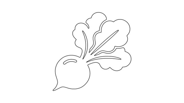 Beetroot with leafy greens icon animation