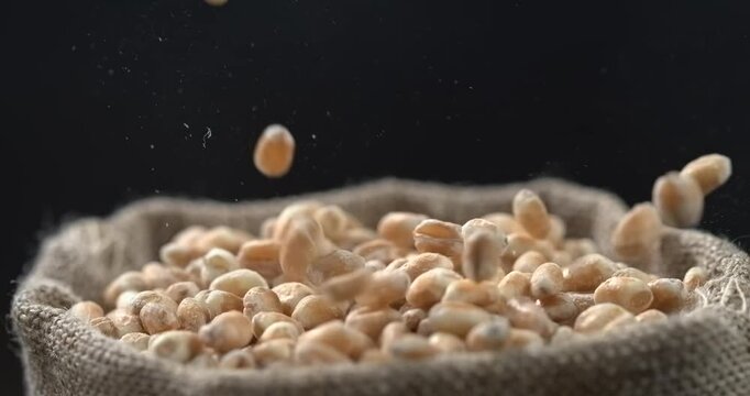 Wheat grains falling into burlap sack in super slow motion macro
