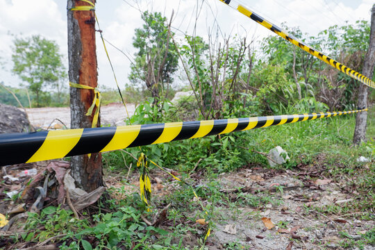 Yellow and black striped warning tape stretched across dense green vegetation to restrict entrance to a dangerous zone or property. Ideal for security presentations, environmental crime articles, safe