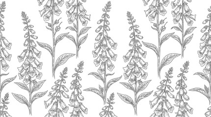 Botanical Sketch of Foxglove Flowers © Ndog