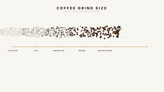 Premium Animated Infographic of Coffee Grind Size Guide and Brewing Methods Comparison