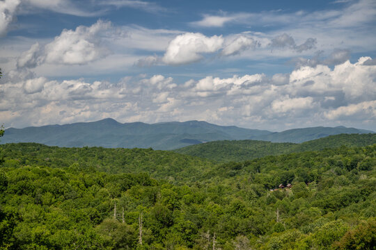 mountain garden