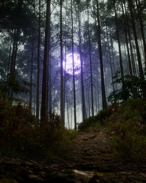 Mystical deep forest path with a glowing purple full moon and fog