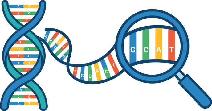 DNA double helix with magnifying glass analyzing genetic code sequence for genetics research vector illustration