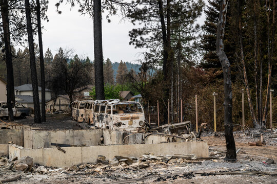 Spokane, United States - 14 August 2026: View of the aftermath of the Spokane wildfires, showing charred trees, destroyed vintage vans, and scorched residential foundations.