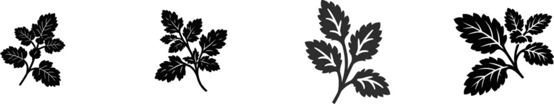 A premium black and white flat vector icon of a pressed catnip sprig with solid black lines and fills, featuring a minimalist design isolated on a pure white background