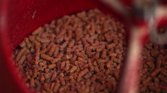 Close up view of agricultural food pellets in red bucket, chicken feed