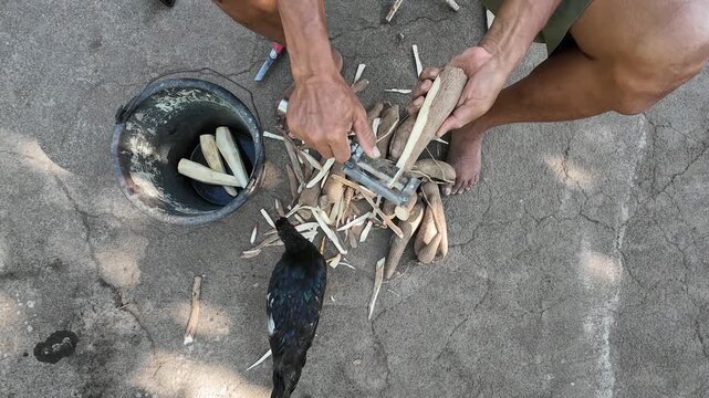 Top view of barefoot farmer peeling fresh cassava roots with traditional handmade peeler on concrete floor preparing tape tapai fermented food with black chickens nearby in Lombok Indonesia