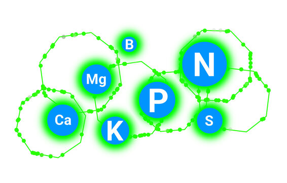 Colorful illustration of essential plant nutrients including nitrogen, phosphorus, potassium, calcium, magnesium, sulfur and boron