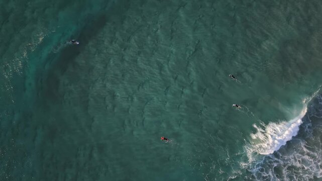 Surfers paddles through clear ocean water beside a breaking wave catching and gliding along cutting back with white foam textured spray, aerial overhead backdrop