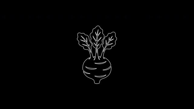 Minimalist Beetroot Line Art Icon on Black Background