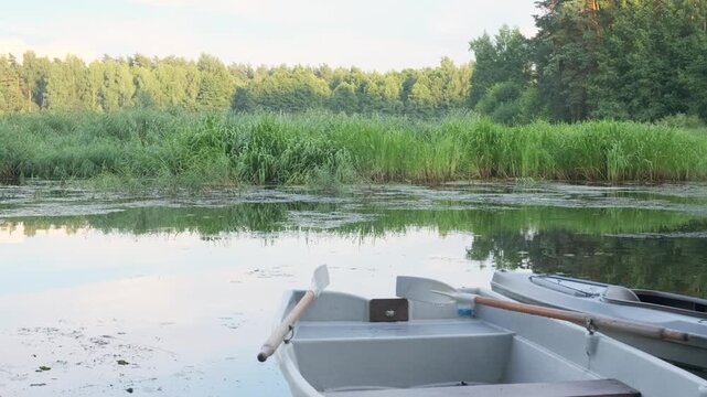 boat resting on calm water of river bay near reeds. panorama opening pine forest behind boat and quiet backwater. concept of boat leisure and summer escape to wild slow river