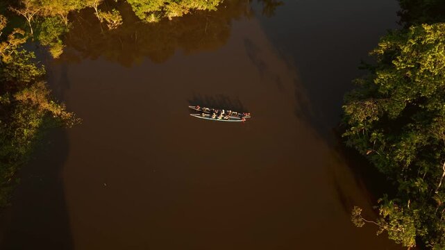 High aerial view of two canoes with tourists navigating a river in the amazon rainforest