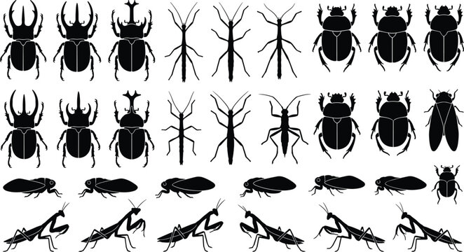 Large collection of black insect silhouettes featuring beetles, praying mantises, cicadas, and stick bugs isolated on white background