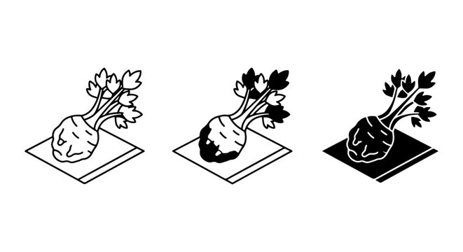 Celery Root Icon Set, Celeriac Vegetable Vector Graphics, Healthy Food Illustrations