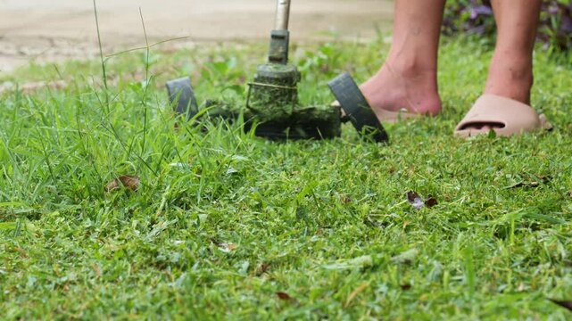 Small Electric Lawn Mower with Tank Tracks Cutting Grass in Garden