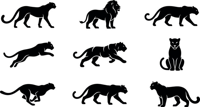 Wild big cat predator vector silhouette icon set featuring lion tiger panther cheetah leopard jaguar and cougar wildlife graphic elements.