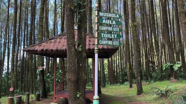 A wooden directional sign in a dense pine forest, pointing the way to a Mushola, Aula, Camping Site, and Toilet, illustrating camping facilities and outdoor navigation.