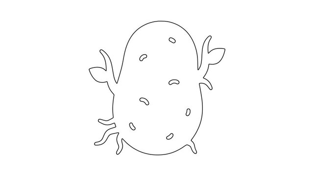 Large beetroot icon animation