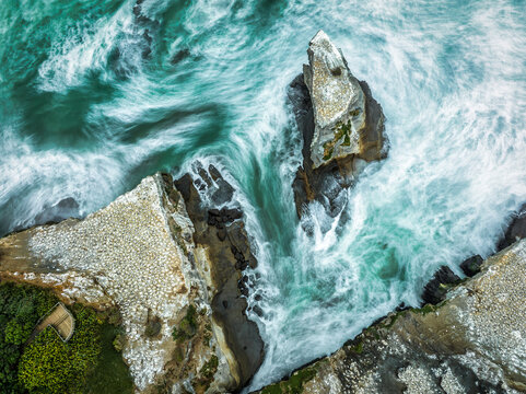 New Zealand - 17 February 2022: View of rocky coastline with sea stacks, turquoise ocean waves, and gannet colonies nesting on the cliffs.
