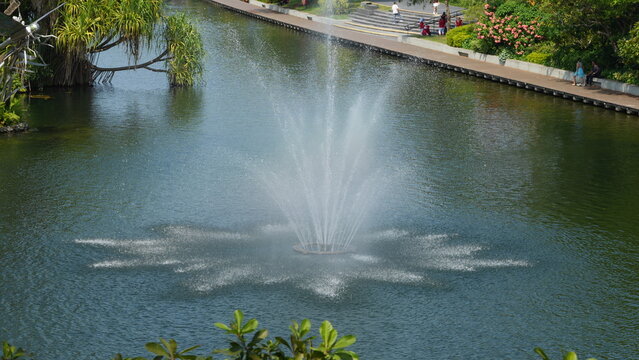 Vibrant Park Lake with Water Fountain and Lush Tropical Plants