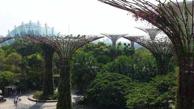 Gardens by the Bay Singapore Supertrees Tropical Oasis