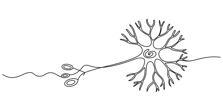 Simple line drawing of a human brain cell neuron isolated as a black and white minimal vector illustration for medical and science education illustration