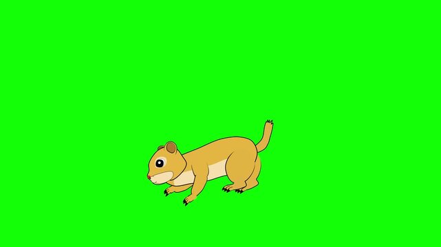 Jumping Ground Squirrel Running on All Fours on Green Screen Animation