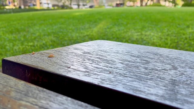 Wooden table in garden nature