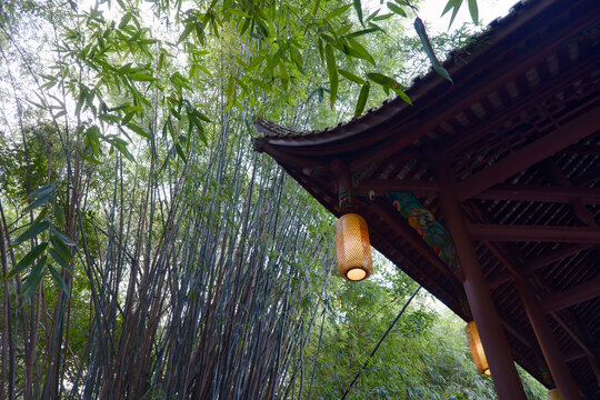 A serene scene featuring a traditional pavilion with an illuminated lantern nestled within a dense bamboo grove in Chengdu's WangJiangLou park. The composition captures the harmonious blend of