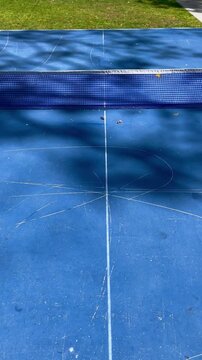 Ping pong table with outdoor under tree
