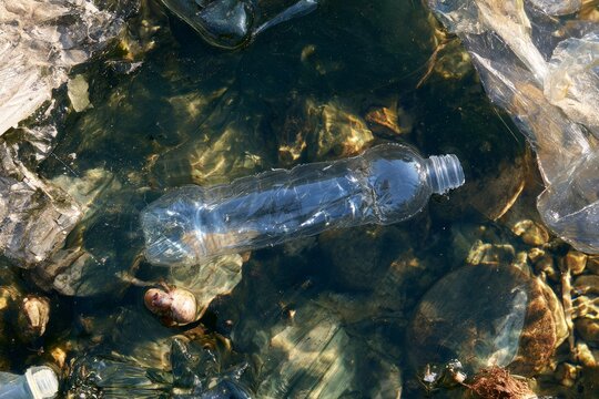 Plastic bottle seen floating in water among rocks and debris in a natural setting during daylight hours