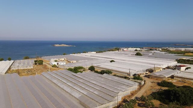 Drone aerial view of greenhouses for agriculture on a Mediterranean coastline with an olive grove