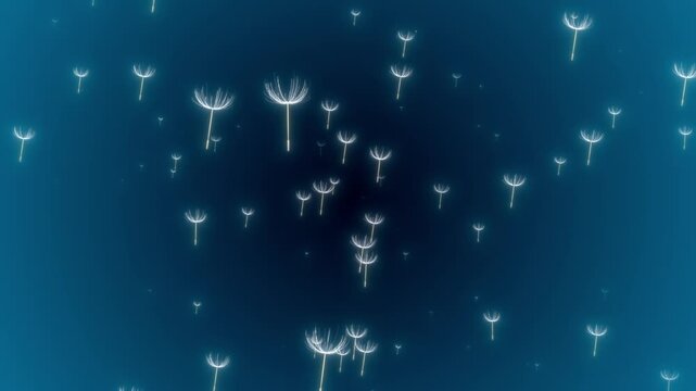 Grass flower animation floating from the wind on black background.