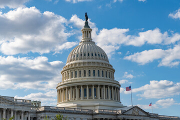 Fototapeta premium Historic Capitol by the national flag. Capitol dome as symbol of law. Washington monument architecture. Washington DC. US Senate. Federal government in the nation capital