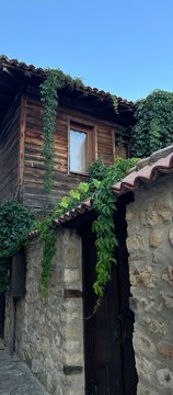 Traditional old house facade with stone wall and dark wood decorated with green ivy leaves