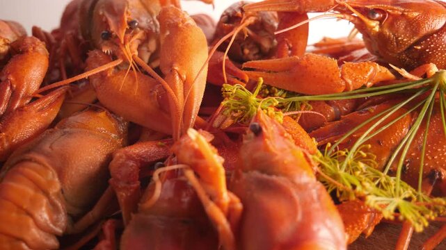 Boiled or steamed crawfish