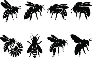 Fototapeta premium Collection of black vector honey bee silhouettes flying and landing on a flower isolated on white background