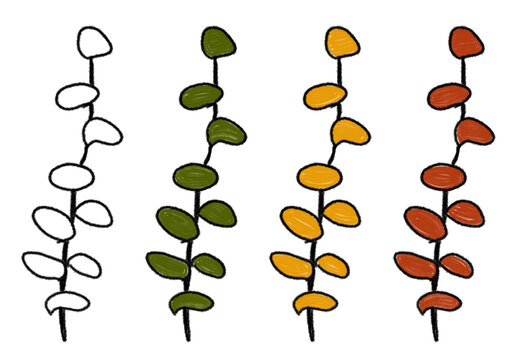 This artwork depicts plants drawn with colored pencils on a transparent background. The composition highlights the leaves, which are rendered in various shades, allowing the viewer to observe how thei