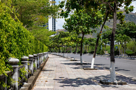 A scenic walkway bordered by lush green trees and a stone railing, with modern buildings visible in the background under a bright blue sky, creating a vibrant urban atmosphere